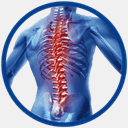 spine-center.it