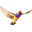 bpsoftware.net