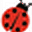 nhladybug.com