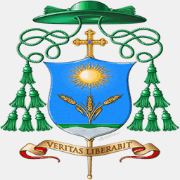 diocesisansevero.it