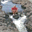 darjela.over-blog.com