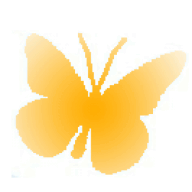 dekanphotography.com