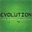 evolutionwholesale.com