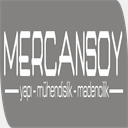 mercansoyyapi.com