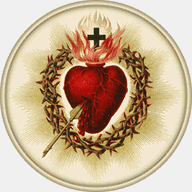 newbraunfelslodgingassociation.net