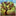 dancing-tree.com