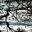 alliancepatents.wordpress.com