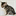 catsiam.ch