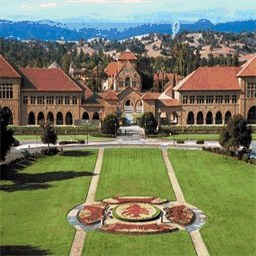 confessionsfromstanford.blogspot.com