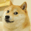 9doge.com