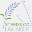 steedandcompany.com