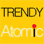 trendyatomic.com