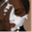 lyfechatblog.com