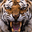 tigere.com