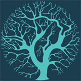 horizonlandscapes.com.au