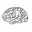 cerebrum.wum.edu.pl