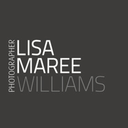 blog.lisamareewilliams.com