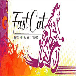 fastcatstudio.com