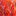 studiored.us