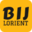 bij-lorient.org