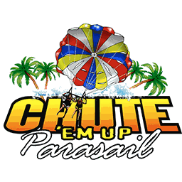 partynet.com