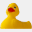 duckin.com