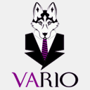 varioconsulenze.com
