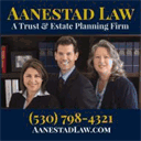 aanestadlaw.com