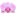 orquideaoriental.cl