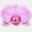 orquideaoriental.cl