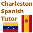 charlestonspanishtutor.com