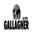 gallagherintl.com