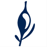 boutique-algues-thalado.com