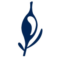 boutique-algues-thalado.com