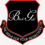 blackgoldsecuritycompany.com