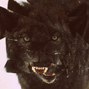 blackwolf.tumblr.com