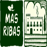 hotelmasribaspalamos.com