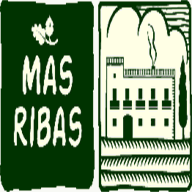 hotelmasribaspalamos.com