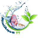 miniaqua77.com