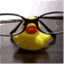 functionofarubberduck.wordpress.com