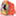 tindrum.net