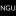 ngugroup.com