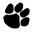 thewolfpacket.org