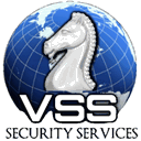 vss-security-services.com