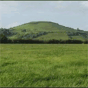 blacknewsnetwork.com