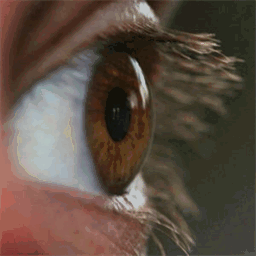 lexluker.org
