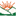 ksodelhi.org