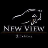 newvisionsrealestate.com