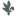 chhd.org