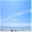 testing310.com